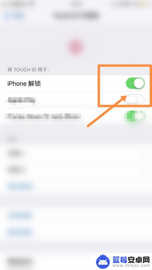 苹果手机指纹设置主题怎么设置 iPhone13如何设置Touch ID指纹解锁