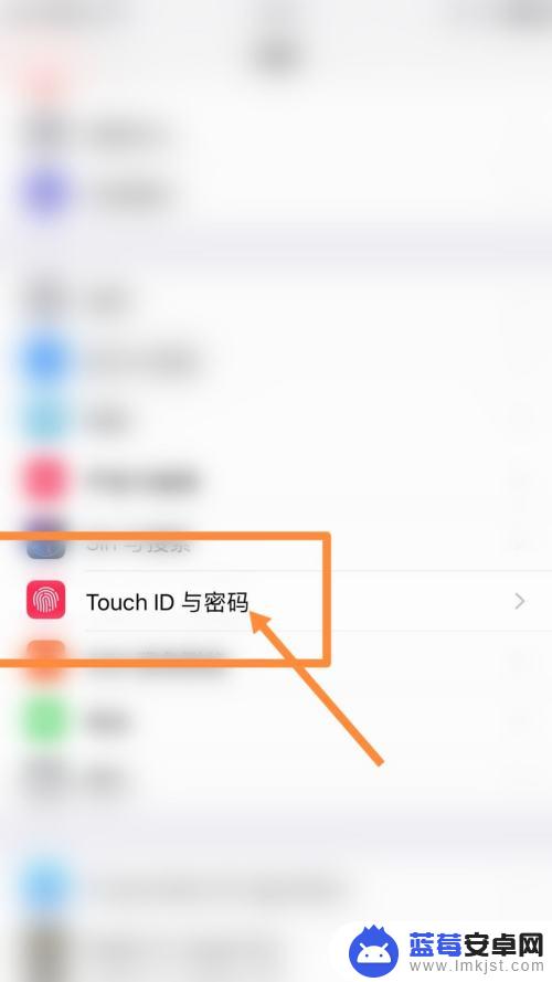 苹果手机指纹设置主题怎么设置 iPhone13如何设置Touch ID指纹解锁