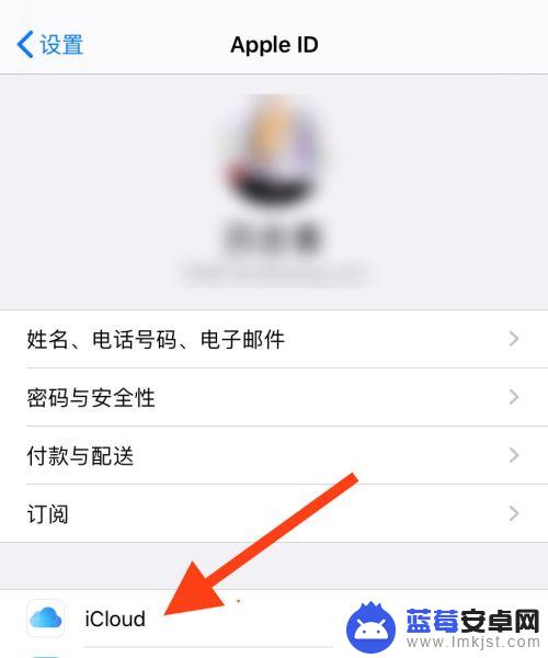 苹果手机不想共享照片怎么设置 iPhone如何设置照片不共享