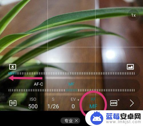 手机照相怎么虚焦 如何用手机拍出背景虚化的效果