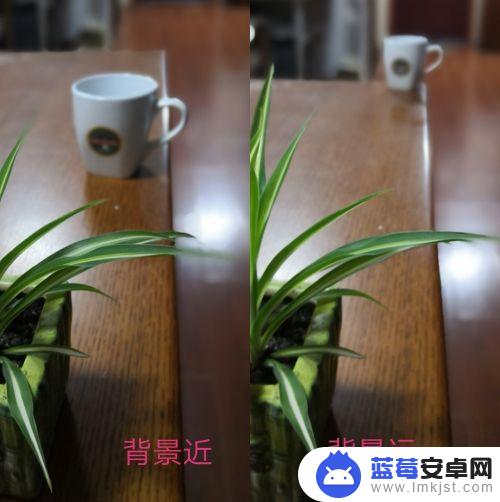 手机照相怎么虚焦 如何用手机拍出背景虚化的效果