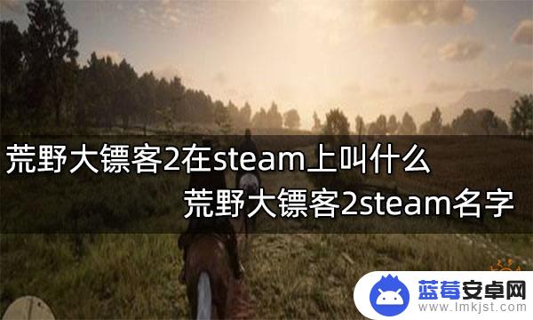 荒野大镖客游戏名 steam上的荒野大镖客2叫什么名字