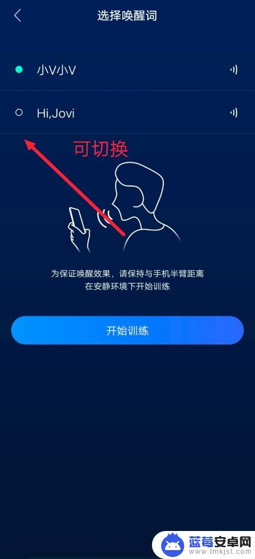 小v vivo手机怎么换成别的字? vivo小V改名字的方法