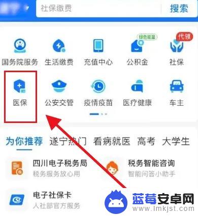 手机上咋交医保缴费 手机上如何缴纳医疗保险费用