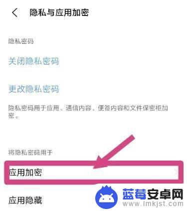 vivo应用加密怎么解除 vivo手机应用密码解除教程