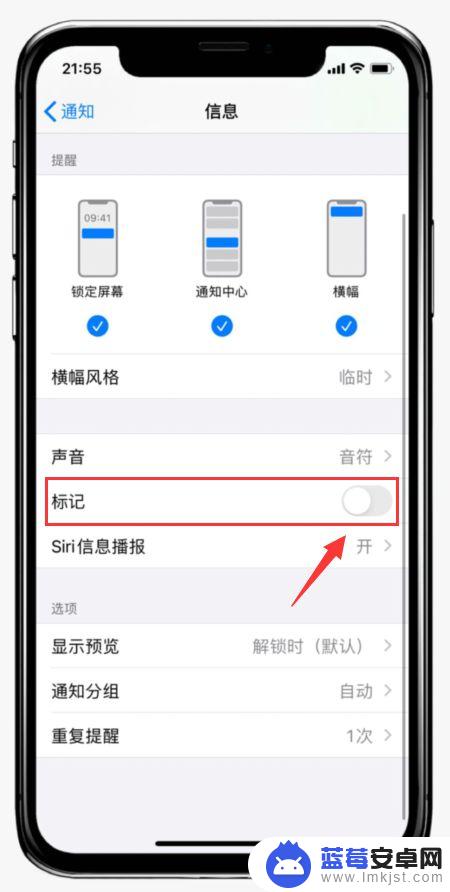 苹果手机提示刷牙怎么关闭 iOS如何关闭应用程序小红点