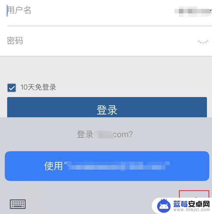 苹果手机钥匙串怎么用 iPhone 钥匙串功能忘记密码怎么办