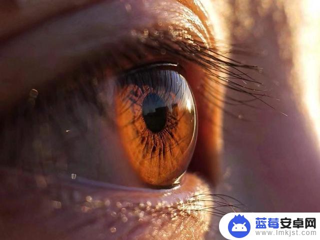眼神善良抖音软文(眼神很善良)
