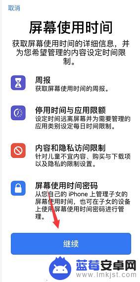 怎么查看苹果手机软件使用时间 iPhone如何查看每天应用程序使用情况及时间