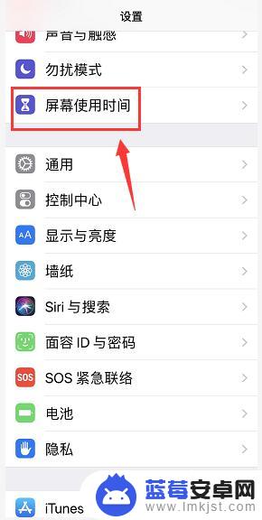 怎么查看苹果手机软件使用时间 iPhone如何查看每天应用程序使用情况及时间