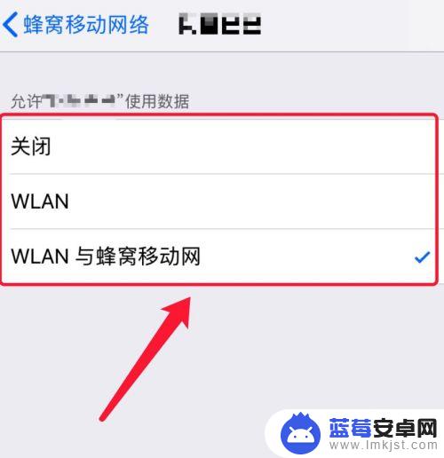 苹果手机流量如何限制 如何在苹果手机上设置流量限制