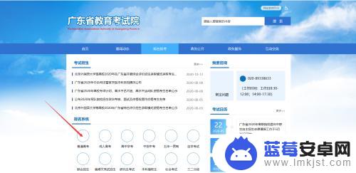 志愿填报手机怎么查询 高考报名手机号绑定怎么查看