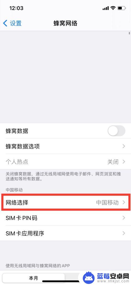 苹果手机选择网络怎么设置 苹果手机如何设置网络选择