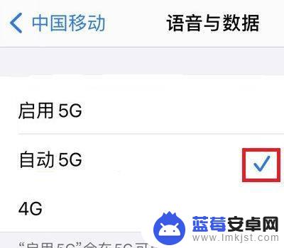 苹果手机4g改5g设置 苹果手机4g转5g设置方法