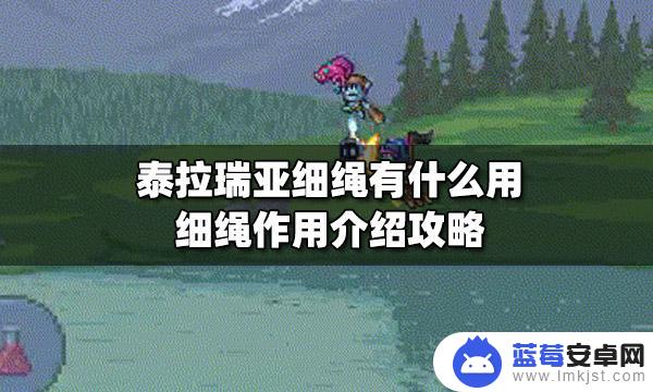 泰拉瑞亚白绳有什么用 泰拉瑞亚细绳有什么攻略