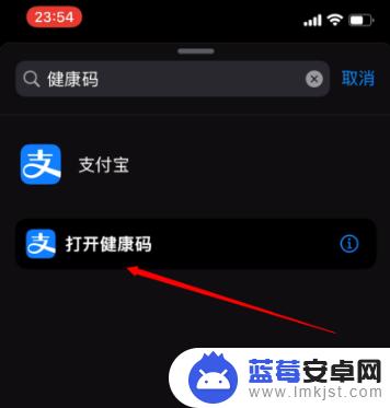 苹果手机怎么设置穗康码 敲击iPhone手机背面可显示健康码的设置方法