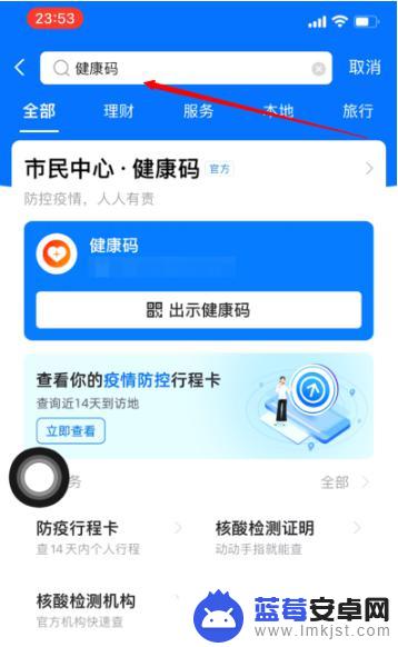 苹果手机怎么设置穗康码 敲击iPhone手机背面可显示健康码的设置方法