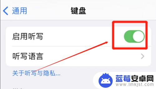 手机键盘上的语音不能用了 iPhone手机键盘语音输入没有反应的解决办法