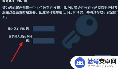 怎么设置steam pin码 Steam如何设置家庭监护