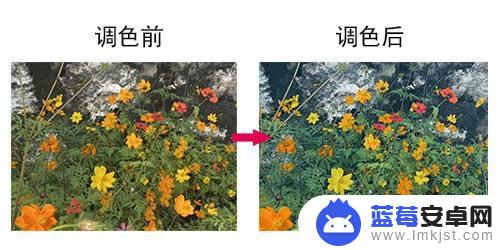 苹果手机如何画油画框颜色 iPhone拍照油画风滤镜效果