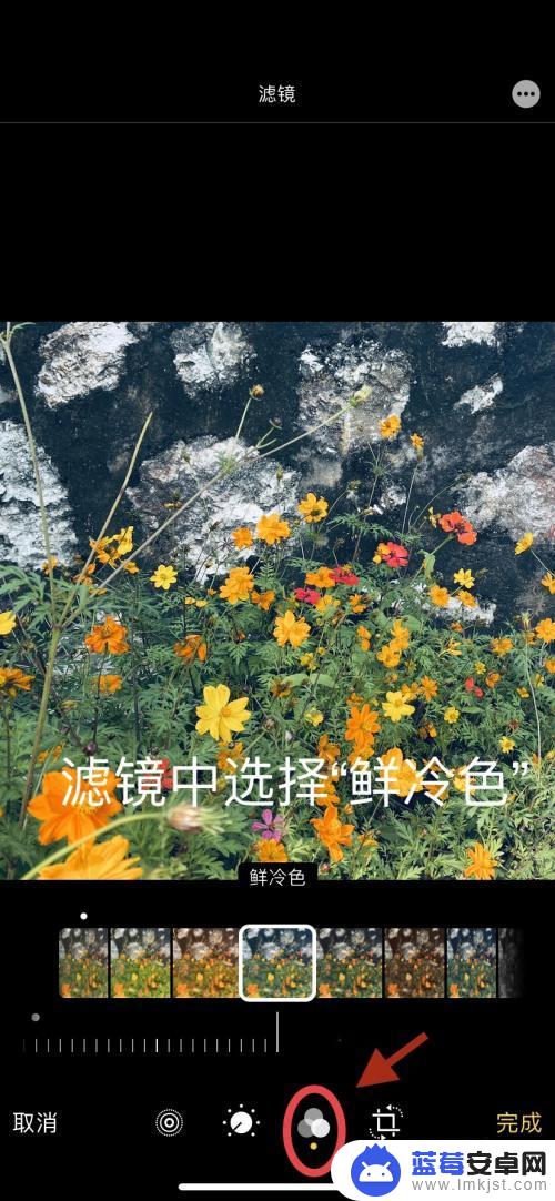 苹果手机如何画油画框颜色 iPhone拍照油画风滤镜效果