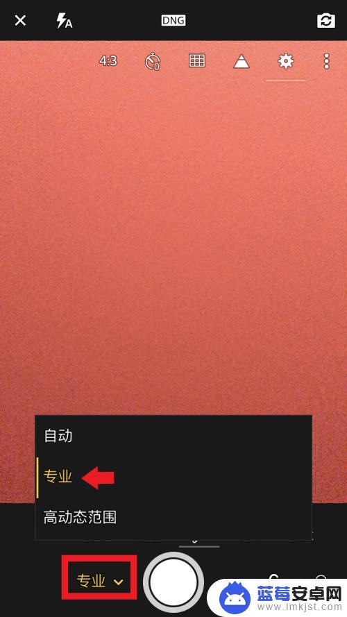 苹果手机怎么专业模式拍照 苹果手机专业相机模式设置方法