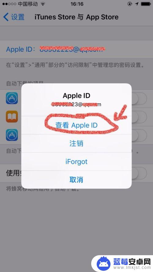 苹果手机扣费明细怎么删除 iPhone 取消自动扣费项目方法