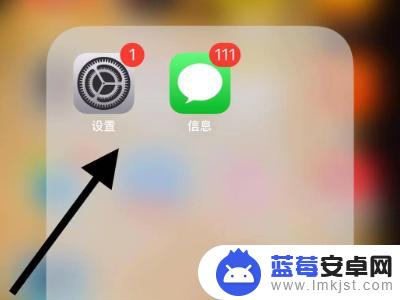 iphone11手机怎么没有信号 iphone11信号突然丢失怎么办