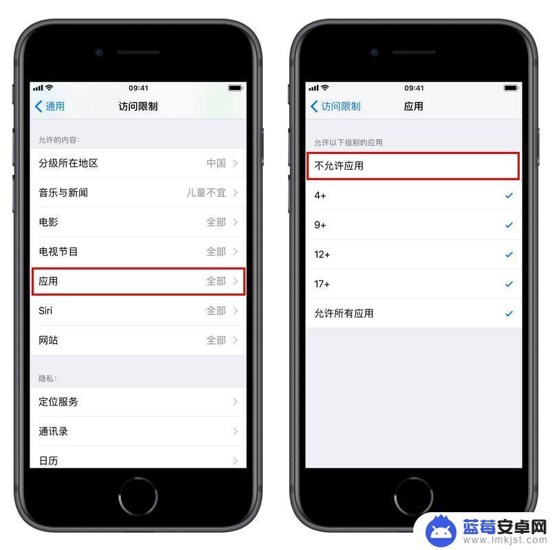 如何给软件设置密码苹果手机 iPhone如何设置软件单独密码