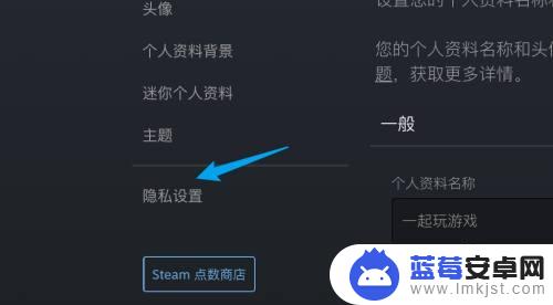 steam隐身怎么设置 Steam怎么设置隐私权限