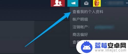 steam隐身怎么设置 Steam怎么设置隐私权限