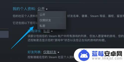 steam隐身怎么设置 Steam怎么设置隐私权限