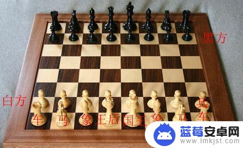 国际象棋怎么么下 国际象棋规则入门教程