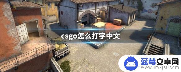 csgo如何打汉字 csgo中文输入怎么打