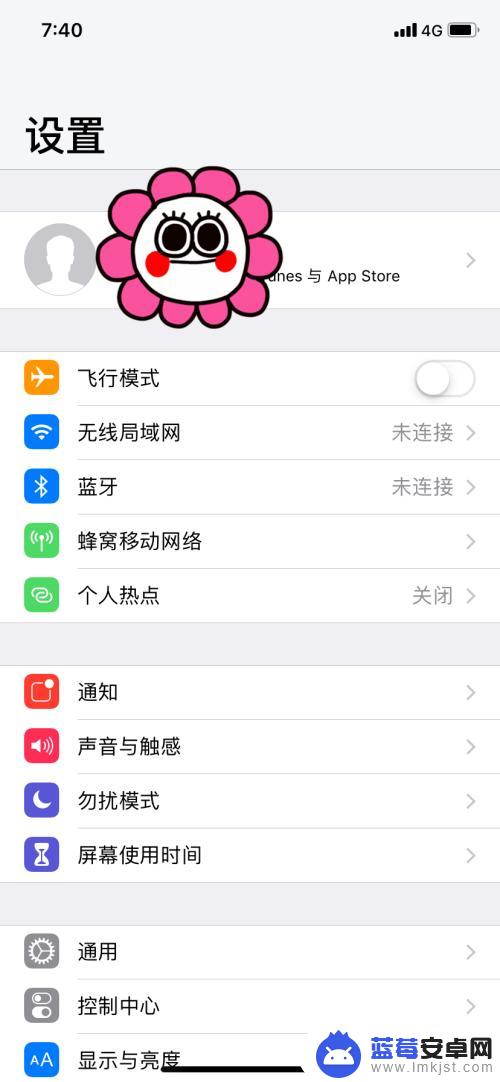 苹果怎么到手操作手机 如何在iPhone上使用单手操作模式