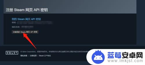 api key steam怎么填 steamapi域名使用指南