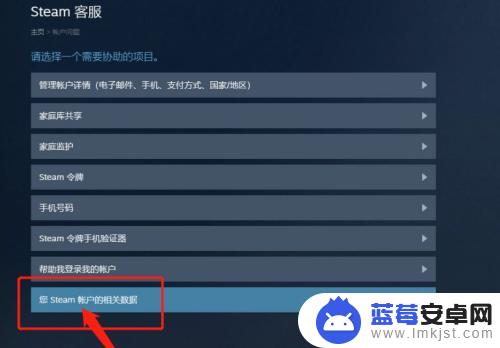 api key steam怎么填 steamapi域名使用指南