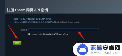 api key steam怎么填 steamapi域名使用指南