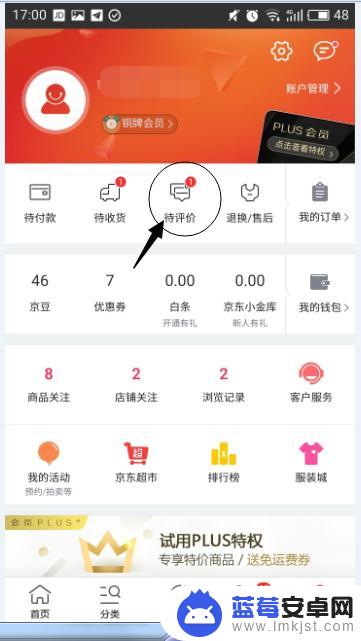 京东手机如何查看评价 手机京东APP如何查看已经评价的订单详情