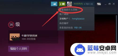 steam个性背景 如何在Steam上设置个人背景