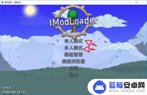 如何在泰拉瑞亚里面加模组 泰拉瑞亚steam版如何启用mod