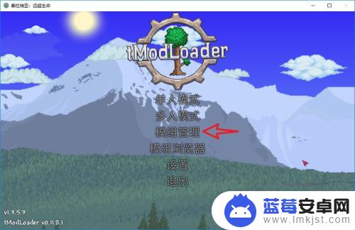 如何在泰拉瑞亚里面加模组 泰拉瑞亚steam版如何启用mod