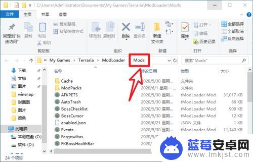 如何在泰拉瑞亚里面加模组 泰拉瑞亚steam版如何启用mod