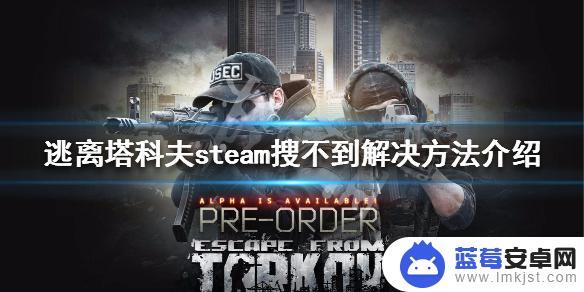 逃离塔科夫steam找不到 《逃离塔科夫》steam搜不到解决方法介绍中文