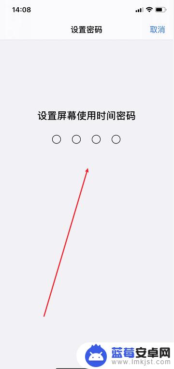 如何给游戏改密码苹果手机 iPhone如何设置应用密码