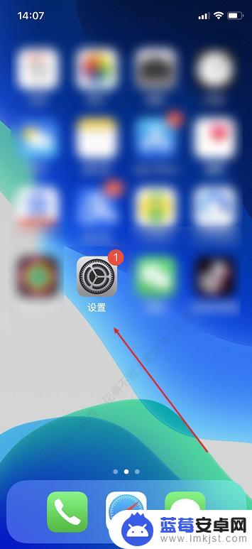 如何给游戏改密码苹果手机 iPhone如何设置应用密码