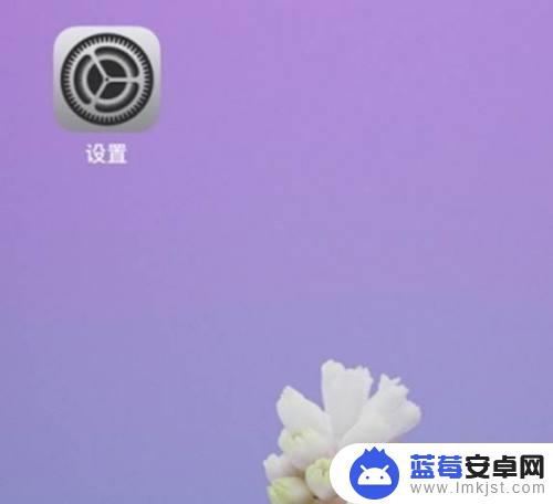 手机闹钟铃响怎么调 iphone手机调闹钟音量的步骤