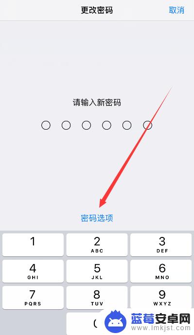 手机如何改字母密码 苹果手机设置字母数字密码教程