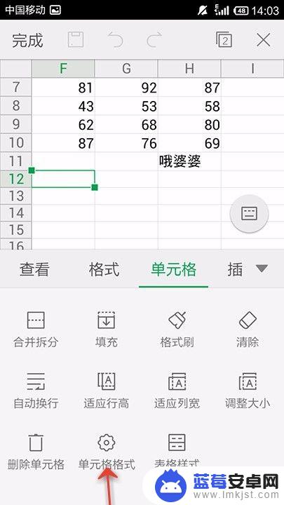 手机怎么设置表格规格表 手机WPS Office表格单元格格式设置步骤