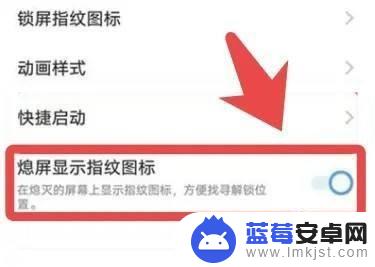 如何让手机上的指纹显现出来 vivo手机怎么设置熄屏后显示指纹图标